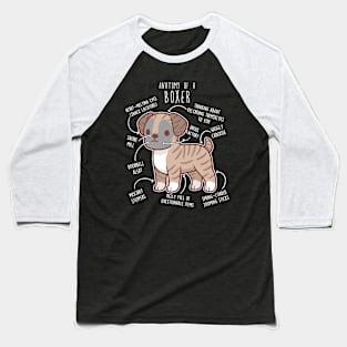 Boxer Dog Brindle Anatomy Baseball T-Shirt